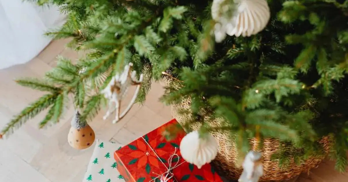 Christmas Gifts for Book Lovers